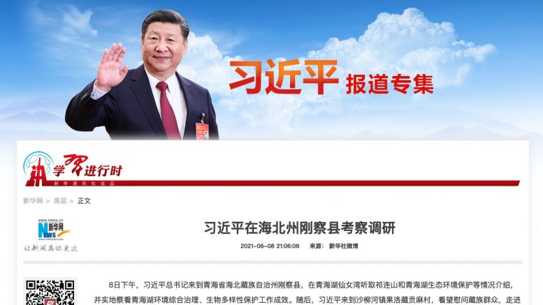 Xi Jinping, neofascism "Made in Xi-Na"? Screenshot Xinhua.